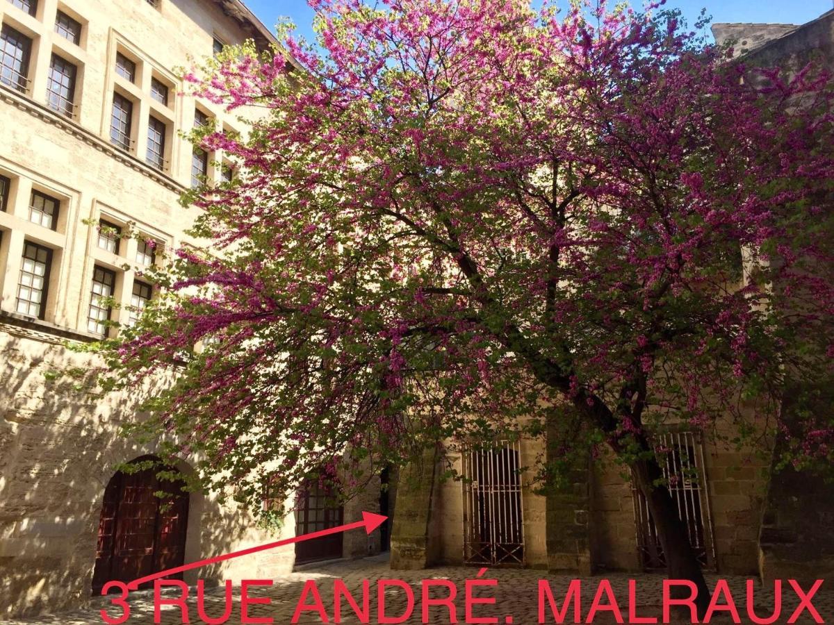 Appartement A 50 M De La Place Aux Herbes Uzès Dış mekan fotoğraf