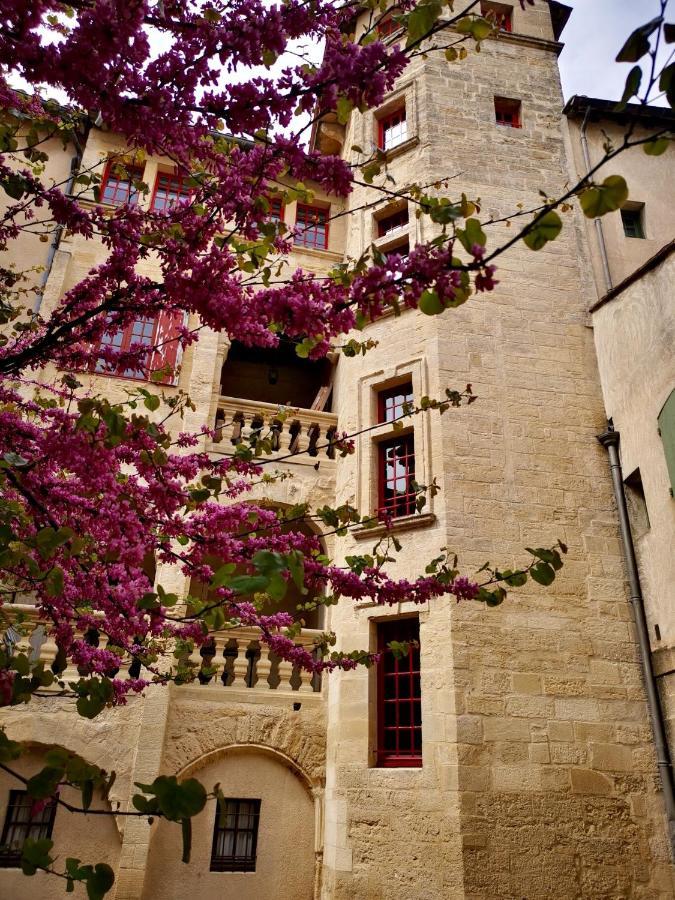Appartement A 50 M De La Place Aux Herbes Uzès Dış mekan fotoğraf